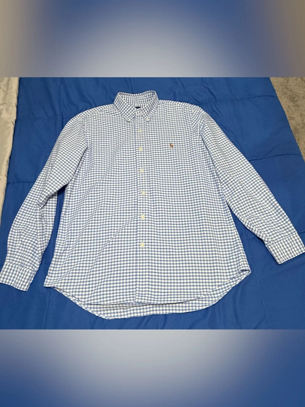 Polo by Ralph Lauren Men's Blue Gingham Button-Down Shirt